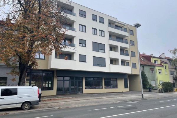 Selska cesta 175, Zagreb